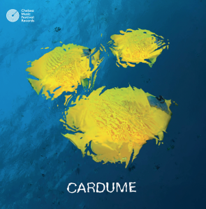 Screen Shot 2025-06-05 at 2.16.33 PM